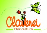 Floricultura Clavenei